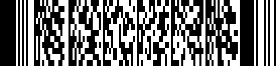PDF417 versie barcode example